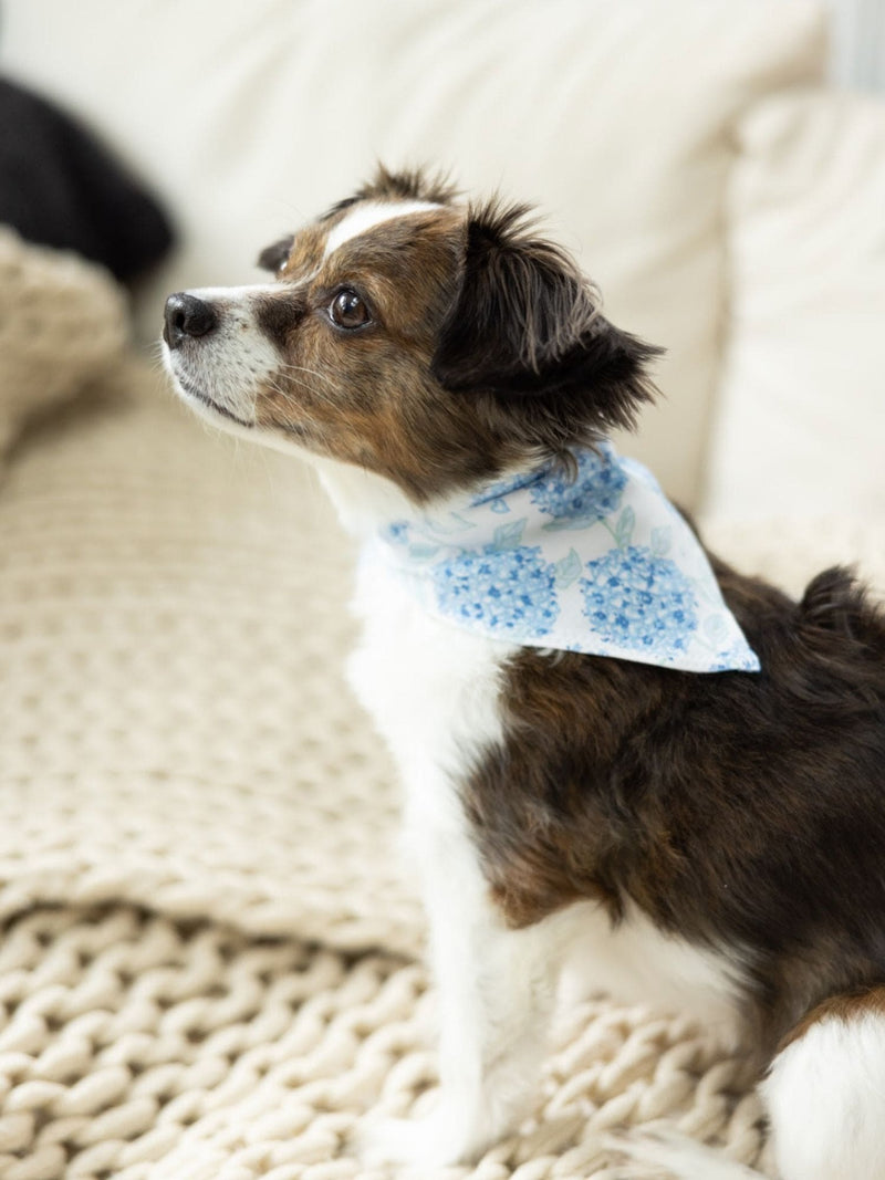 Endless Summer Pet Bandana