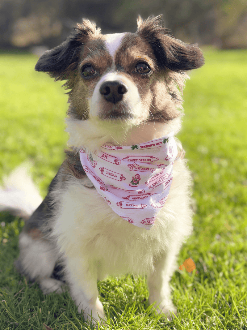 Pet Bandana Tuck'd In Holiday