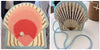 Scallop 2 Sided Canvas