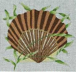 Scallop Shell