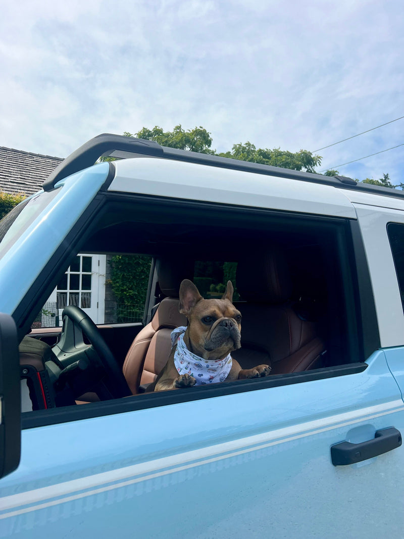 Multicolor Clambake Bandana