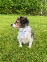 Multicolor Clambake Bandana