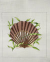 Scallop Shell