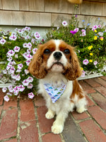 Martha's Vineyard Dreams Bandana