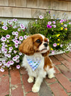 Martha's Vineyard Dreams Bandana