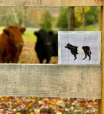 Belted Galloway Cow