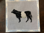 Belted Galloway Cow