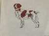 Brittany Spaniel