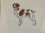 Brittany Spaniel