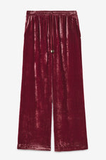 Velvet Pants