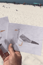 Seagull Canvas