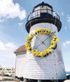 Brant Point Round Daffodil Day