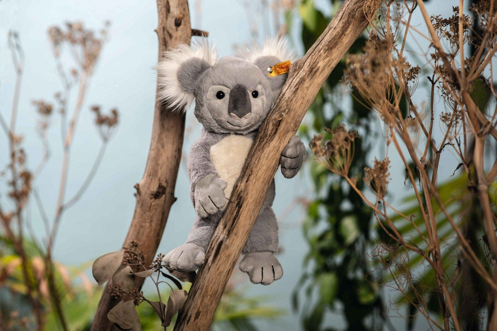 Nils Koala