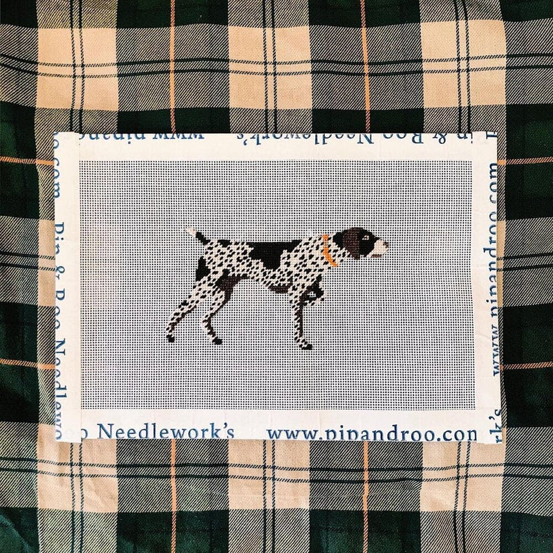 German Shorthaired Pointer