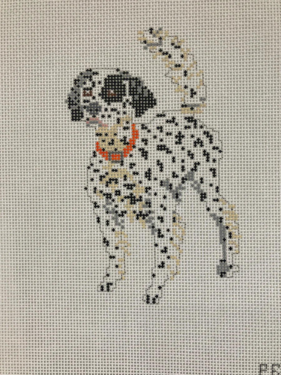 English Setter