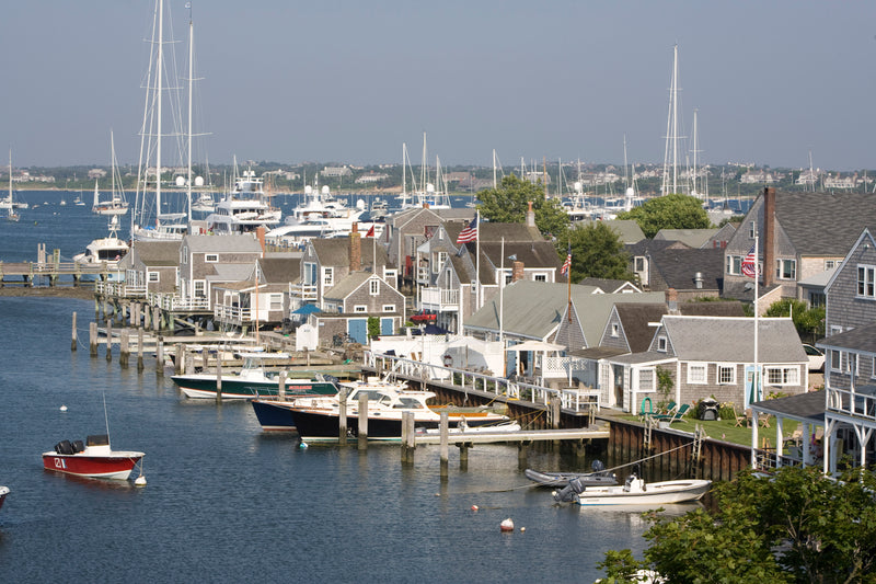 Nantucket Harborscene Belt